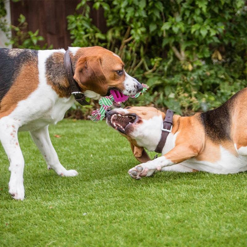 Bite Resistant Dog Rope