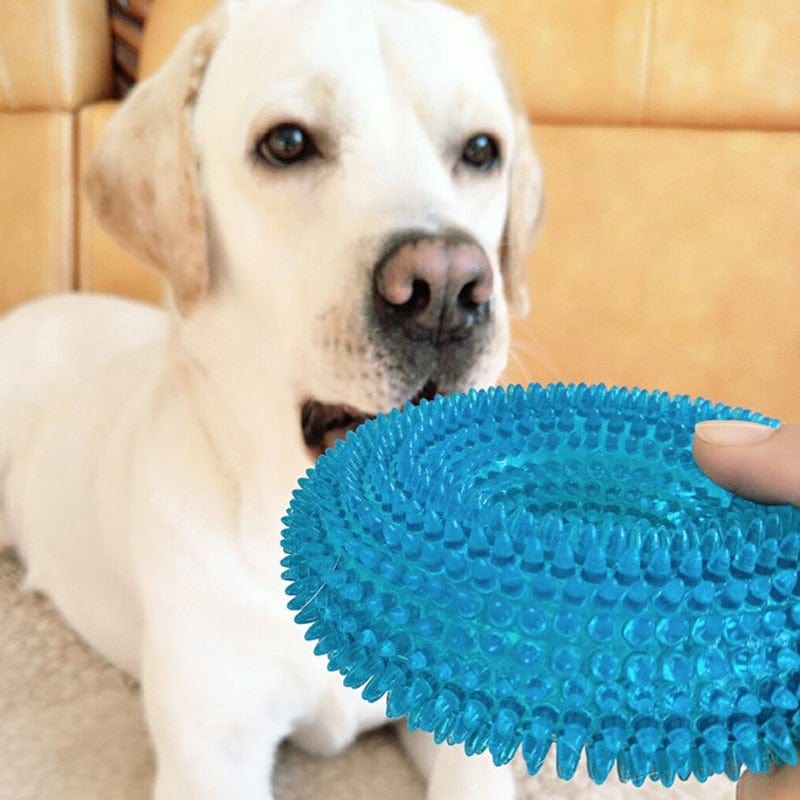 Indestructible Rubber Squeaker