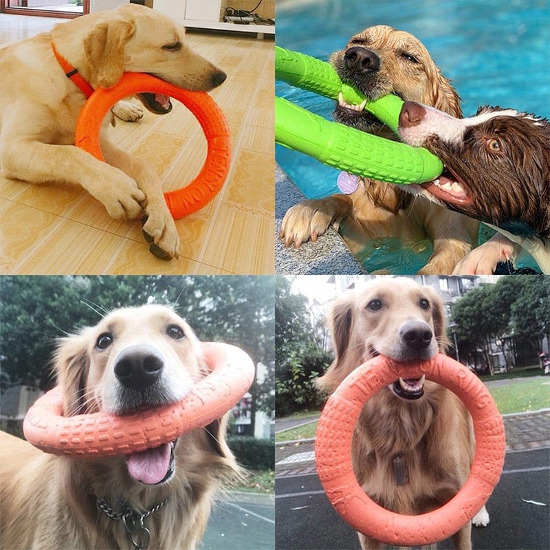 Dog Bite Ring