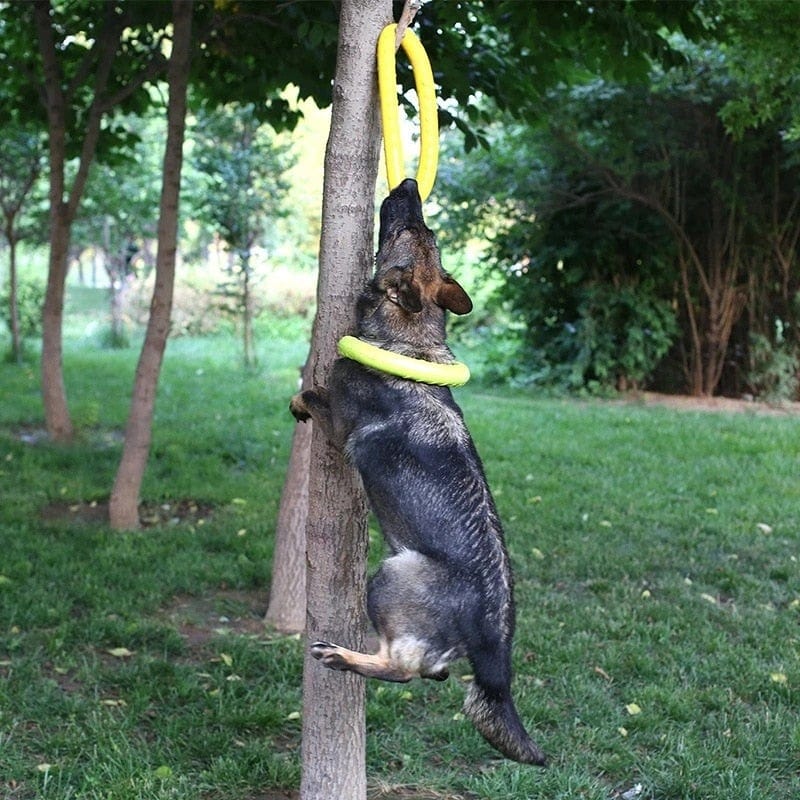 Dog Bite Ring