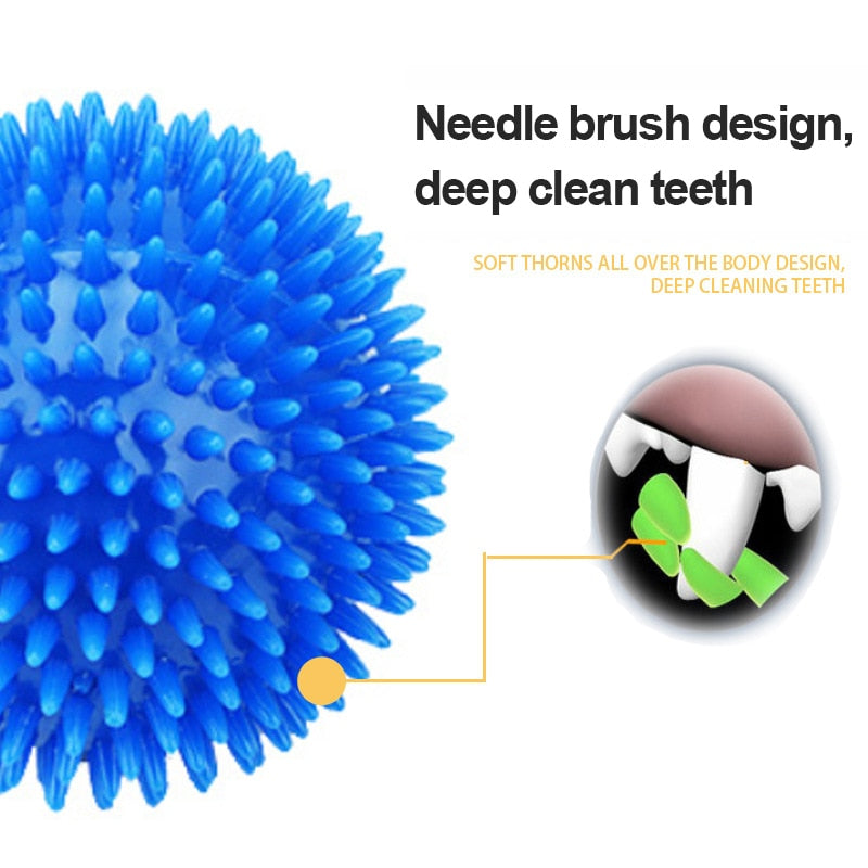 Teeth Cleaning Ball