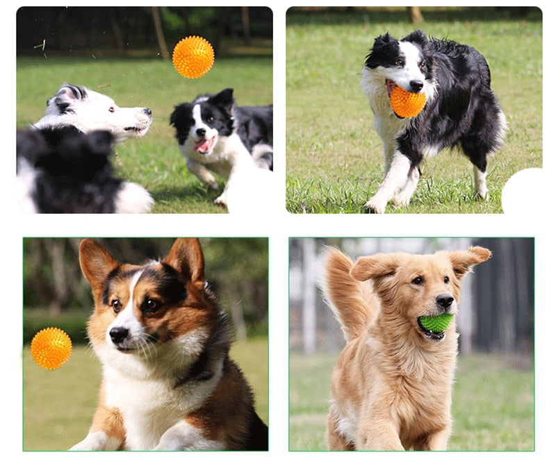 Teeth Cleaning Ball