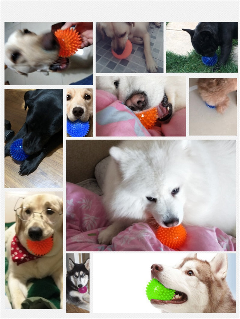 Teeth Cleaning Ball