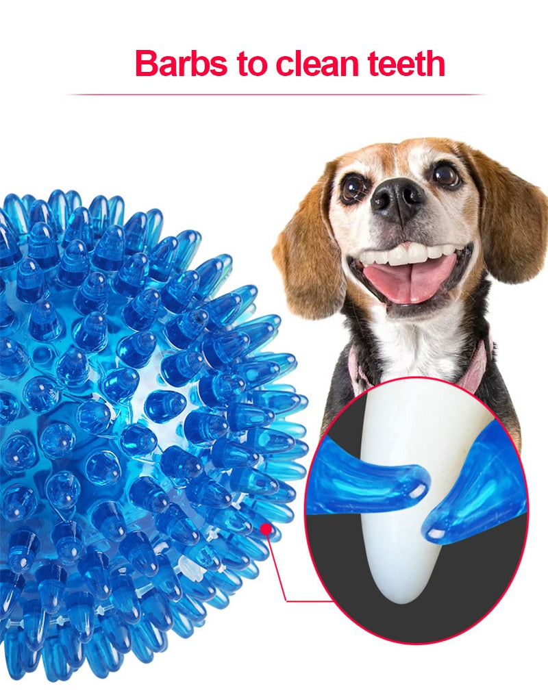 Teeth Cleaning Ball