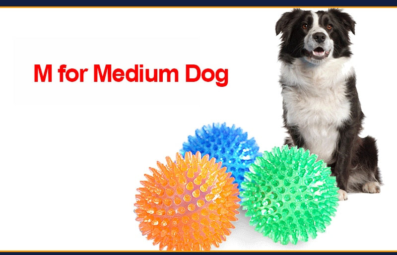 Teeth Cleaning Ball