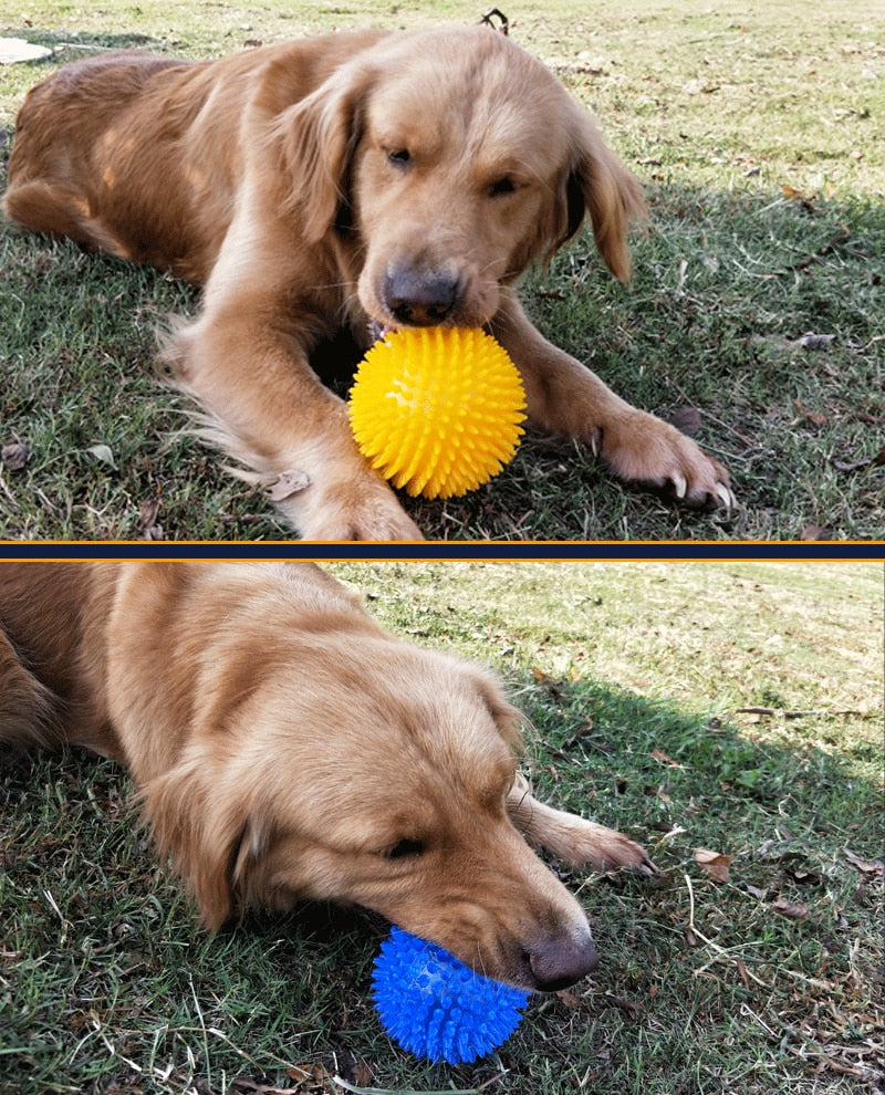 Teeth Cleaning Ball