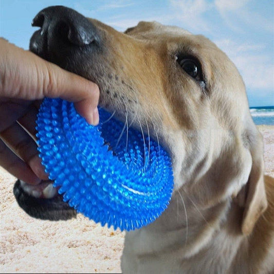 Indestructible Rubber Squeaker