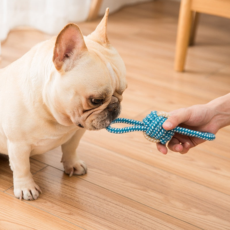 Cotton Rope Toys