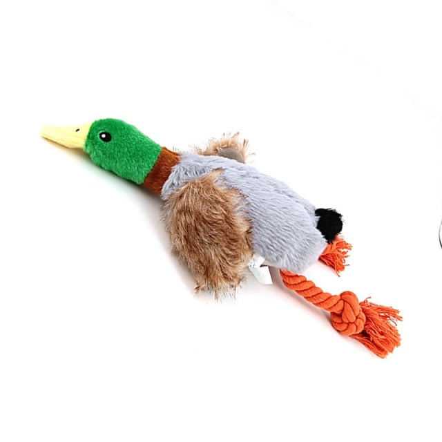 Plush Duck with Squeaker